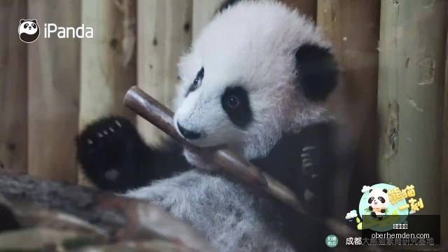 英雄联盟手,游新英雄亮,技能特效引,欧宝娱乐官网,欧宝娱乐App,欧宝娱乐下载,欧宝娱乐登录,欧宝娱乐平台
